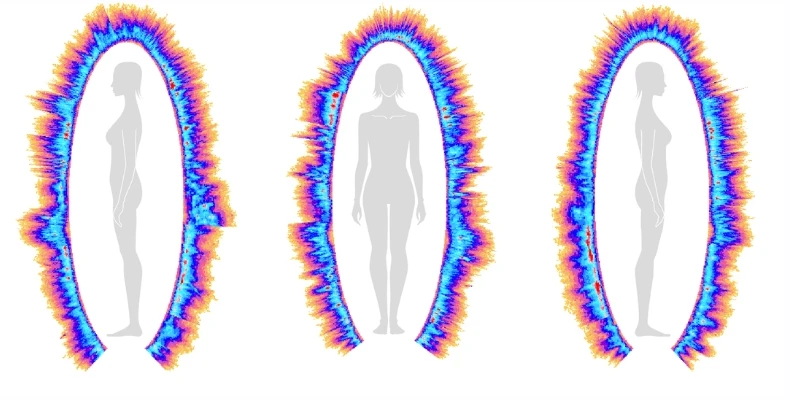 Three colour images of a body outline surrounded by an energy field, seen from the side, front and other side